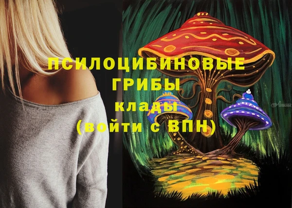 герыч Алексин