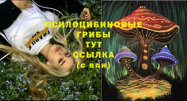 герыч Алексин