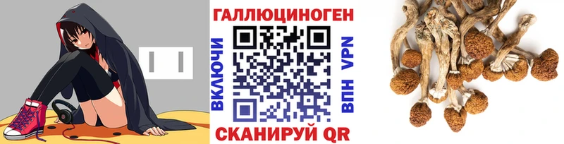 Псилоцибиновые грибы Psilocybine cubensis  наркота  Хвалынск 